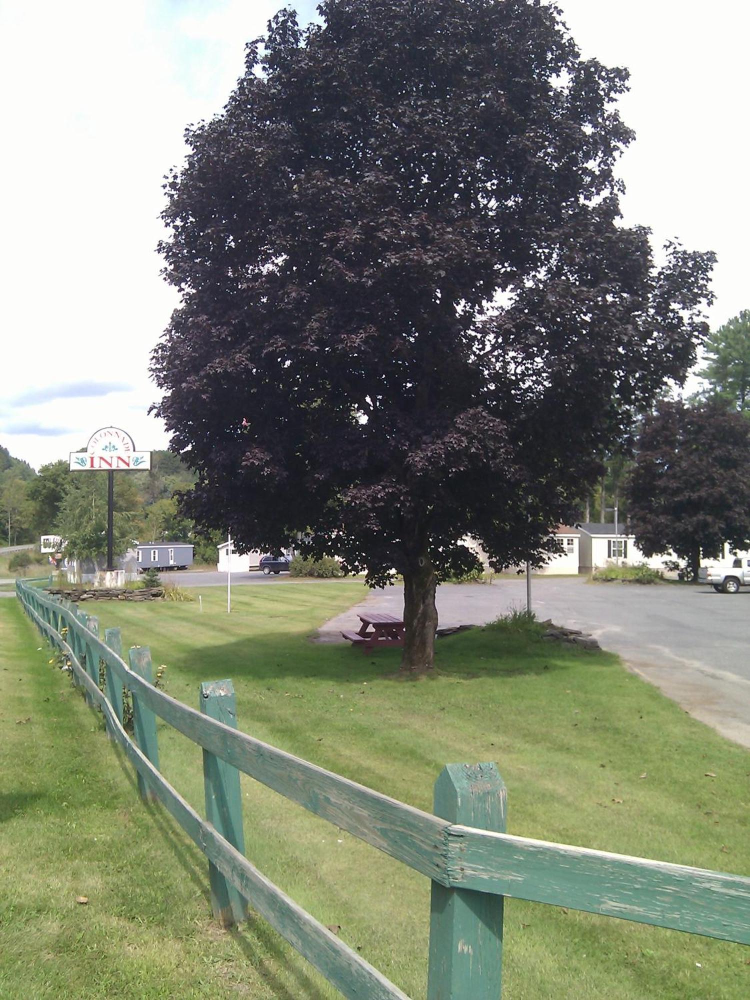 Colonnade Inn Lyndonville Exterior photo